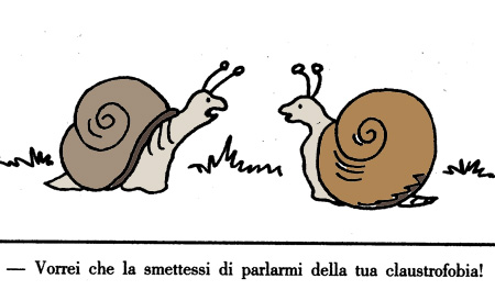 N° 17