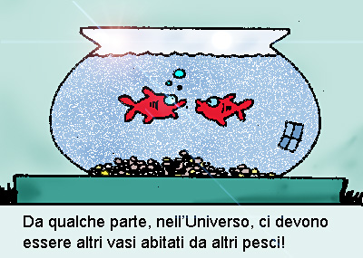 N° 31