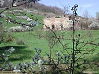 bandella
