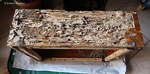 Cassetta di legno distrutta dalle termiti