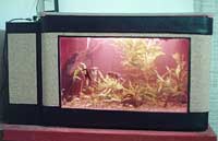 Acquario rinnovato