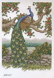 Pavone su di un albero