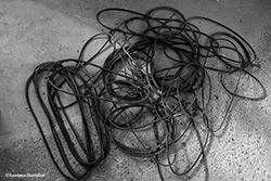 Cinghie di trasmissione Cinghie di trasmissione