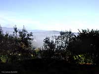 Panorama nella nebbia
