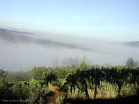 Panorama nella nebbia