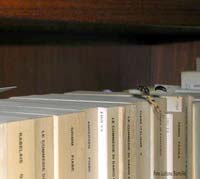Vespa che si dirige in volo al nido tra i libri