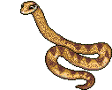 gif rettile