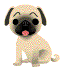 cane gif