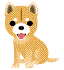 Cucciolo di cane