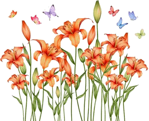 Fiore di Hemerocallis