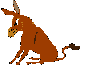 asino animato