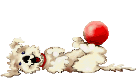 Gif cane