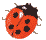 coccinella gif