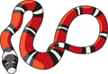 serpente corallino