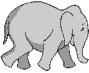 elefantino grigio