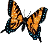 farfalla-789r6