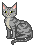 gatto