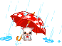 gatto con ombrello