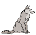 lupo-immagine-animata-0109