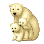 orsi bianchi