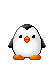 pinguino