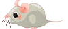 topino gif
