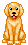 gif cane