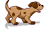 cane gif