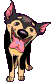 cane