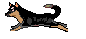 cane gif