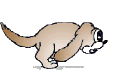 cane gif