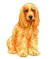 cane cocher gif