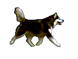 cane gif