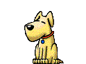 gif dog