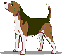 cane gif