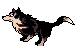 cane gif