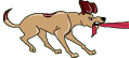 cane gif