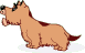 cane gif