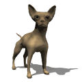 cane gif