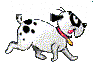 cane grasso dalmata