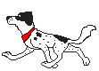 cane gif dalmata