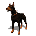 doberman