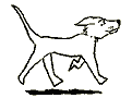 cane