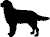 cane nero gif