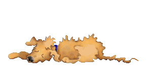 gif cane