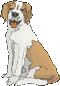 cane gif