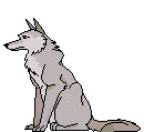 cane lupo