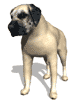 gif cane mastino