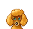 cane gif barboncino rosso