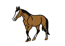 cavallo gif